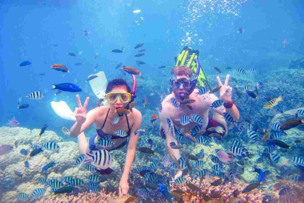 Menyelami Surga Bawah Laut Komodo: Snorkeling & Diving di Perairan Paling Jernih Indonesia