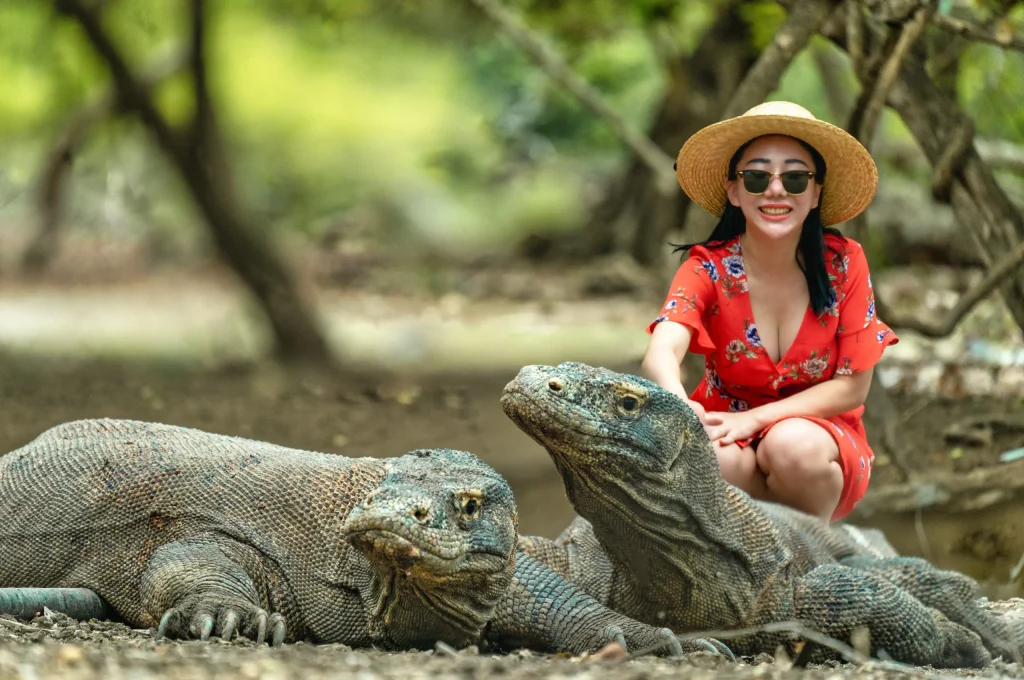 Menyelami Keajaiban Pulau Komodo: Aktivitas Petualangan Seru yang Wajib Dicoba
