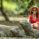 Menyelami Keajaiban Pulau Komodo: Aktivitas Petualangan Seru yang Wajib Dicoba