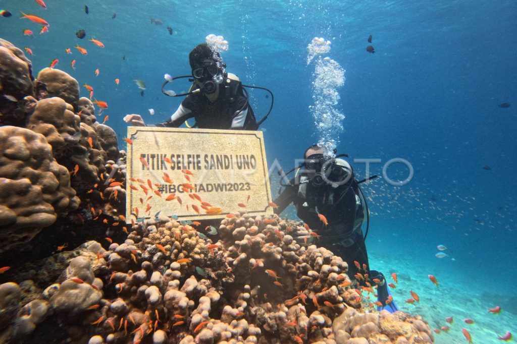Surga Bawah Laut Sabang: Petualangan Bahari yang Tak Terlupakan di Ujung Barat Indonesia