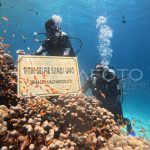 Surga Bawah Laut Sabang: Petualangan Bahari yang Tak Terlupakan di Ujung Barat Indonesia