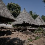 Menyelami Pesona Kampung Adat Pulau Alor: Warisan Budaya yang Hidup di Tengah Alam Eksotis