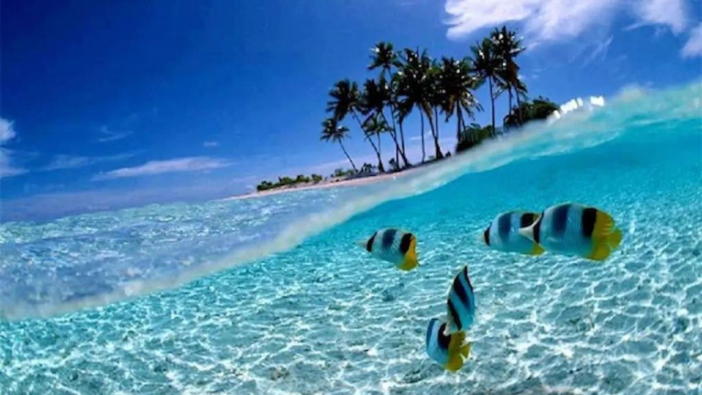 Keajaiban Tersembunyi di Timur Indonesia: Pesona Taman Laut Bunaken yang Mendunia